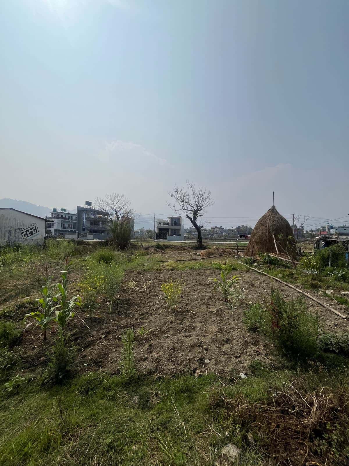 Land on Sale at Pardi Bazar