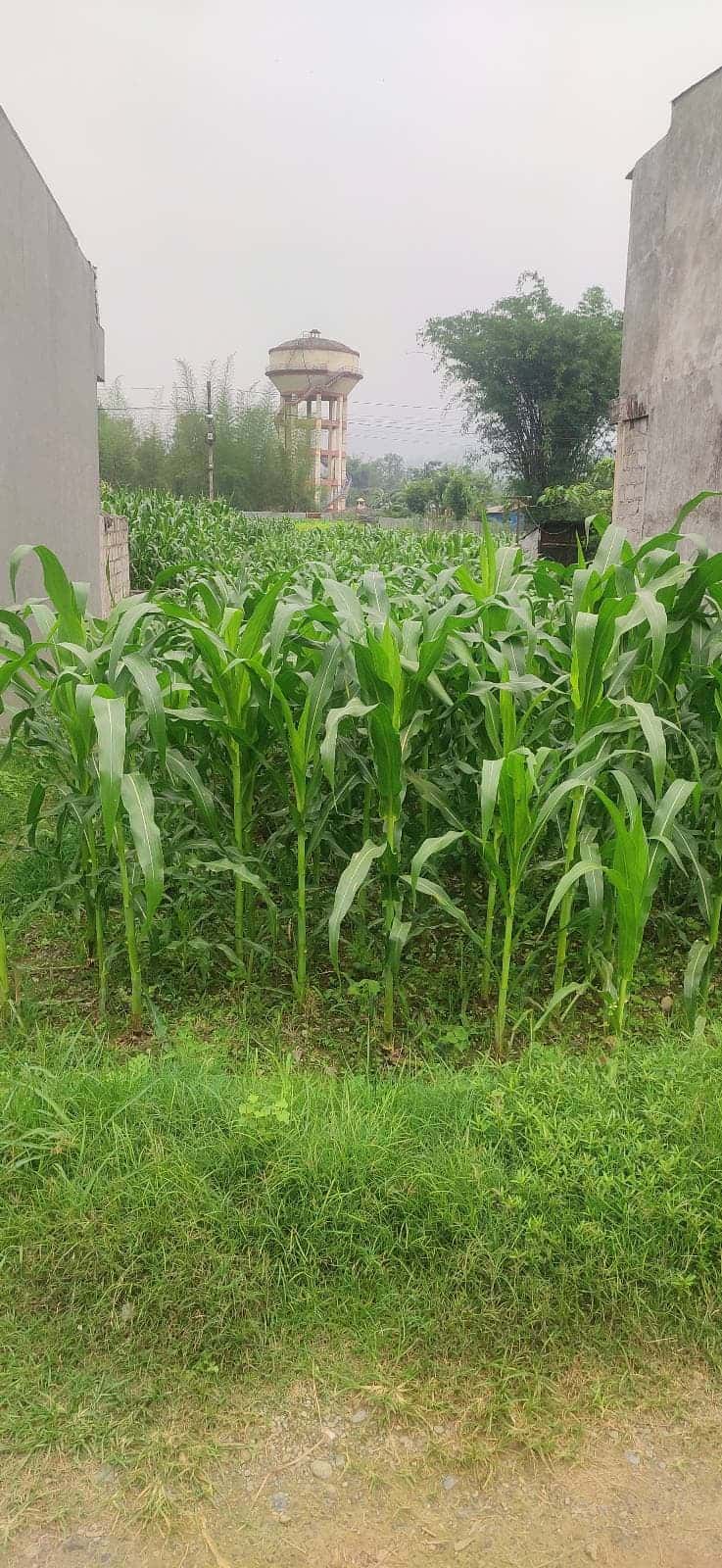 Land on Sale Tuda